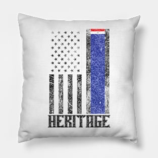 Paraguay Hispanic Heritage destressed flag Pillow