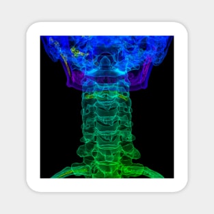 Cervical spine anatomy, 3D CT scan (C034/5265) Magnet