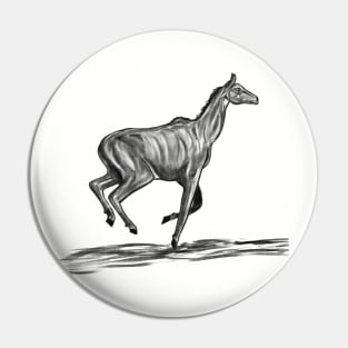 Nilgai Pin