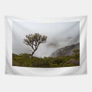 Tree on Bluff Knoll Tapestry