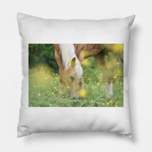 Montana Pillow