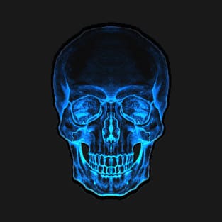 Skull 1 T-Shirt