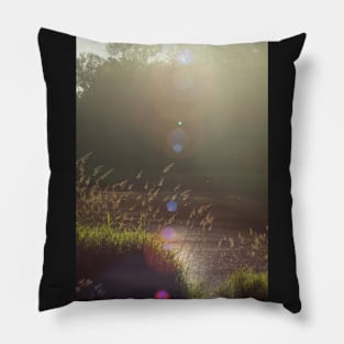 view across Trojan pond, near Goble, Oregon with lens flair Pillow