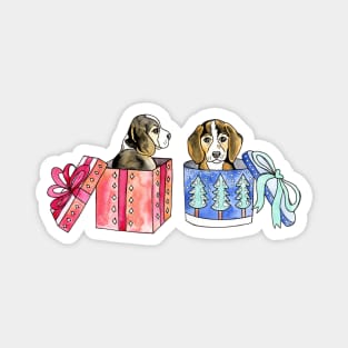 Two Beagles In Boxes Magnet