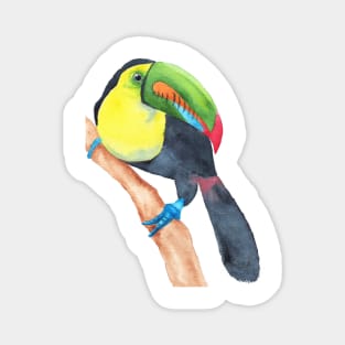 Toucan tocard watercolor Magnet