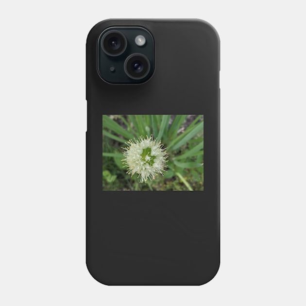 Green Onion Blossom 6 Phone Case by AustaArt