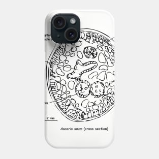 Cross section of Ascaris suum, labelled Phone Case