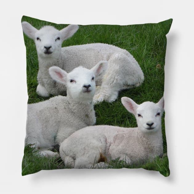 The Three Amigos Pillow by AH64D