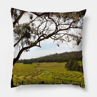 Vineyard Landscape in Springtime Pillow