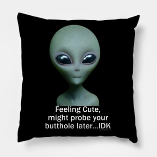Feeling Cute, might probe your butthole...IDK Pillow