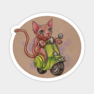 Scooter Kitty Magnet