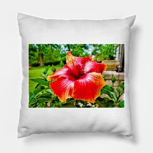 LB Floral Study 1 Pillow