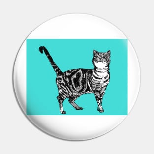 Cute Striped Tabby Cat Art Turquoise Pin