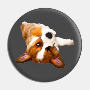 Corgi Roll Pin