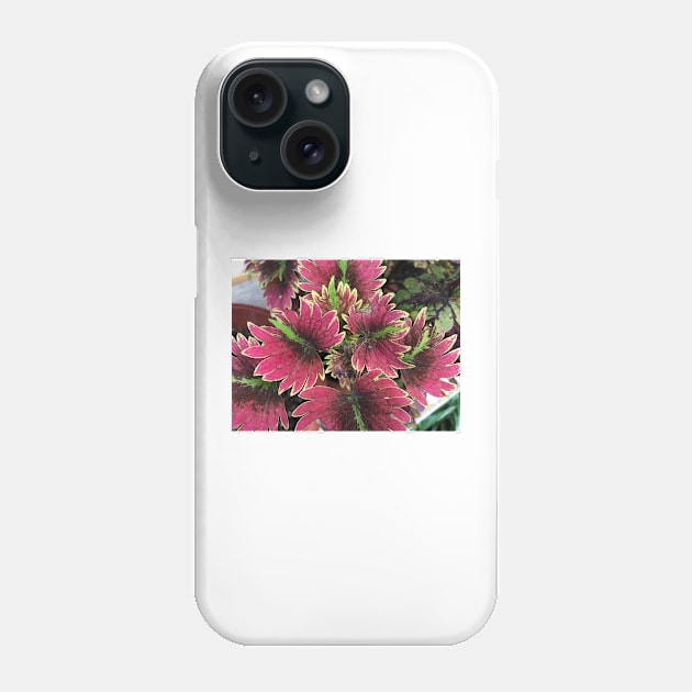 pink leaves in the garden Phone Case by likbatonboot