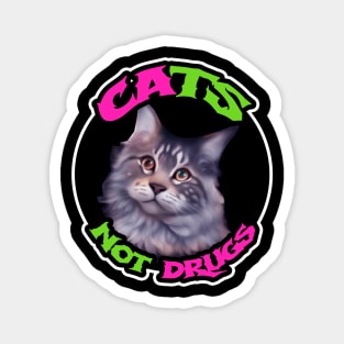 Cats not drugs Magnet