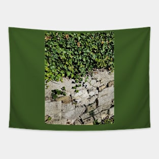 Ivy and Stone Tapestry