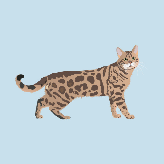 Discover Bengal Cat - Bengal Cat - T-Shirt