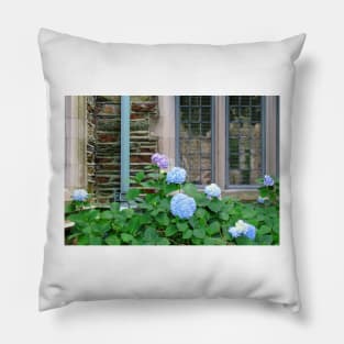 Snowball Flowers Outside The Window Pillow