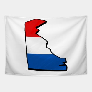 Red, White, and Blue Delaware Outline Tapestry