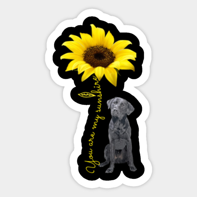 Labrador Retriever T Shirts Black Labrador Mom My Sunshine Sunflower Labrador Retriever Gifts Tee Labrador Retriever Sticker Teepublic Au