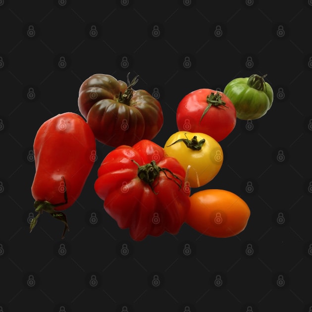 Tomatoes by AHelene