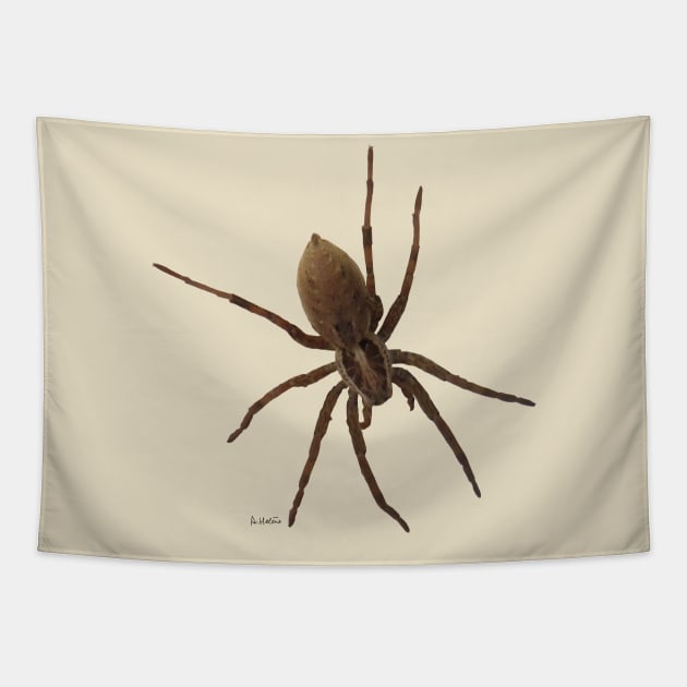 House spider Tapestry by AHelene