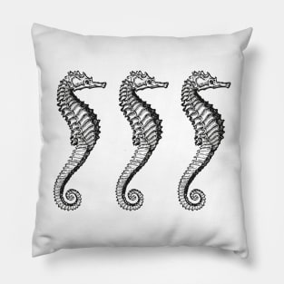 Seahorse Trio | Vintage Seahorses | Three Seahorses | Pillow