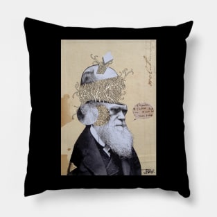 Darwin evolving Pillow