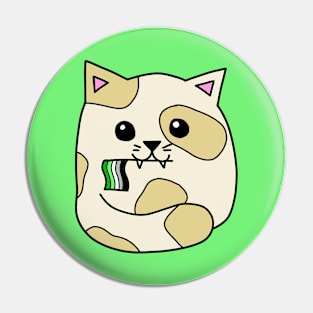 aromantic pride flag cat Pin