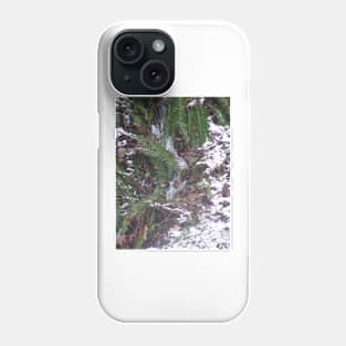 Forest Sun Rays in the Snow #34 Phone Case
