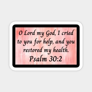 Bible Verse Psalm 30:2 Magnet