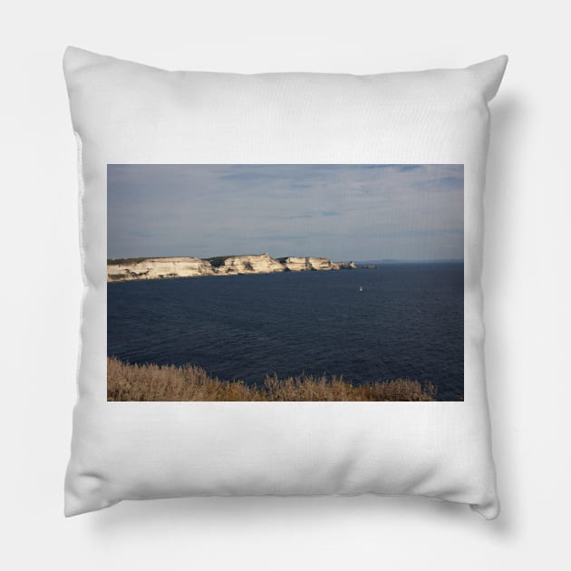 COR_0446_1 Pillow by wgcosby