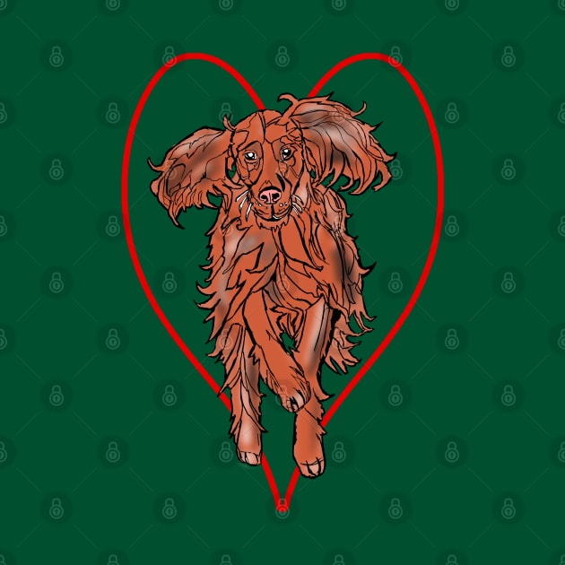 Irish Red Setter by Gearysworld 