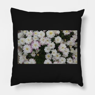 White and Purple Mums - Flowers Pillow