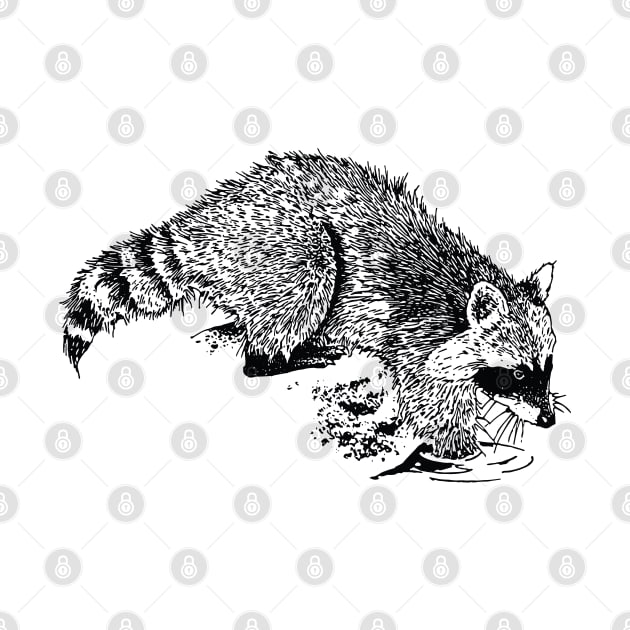 Raccoon Art, Vintage Raccoon Drawing, Line Art Design by penandinkdesign@hotmail.com