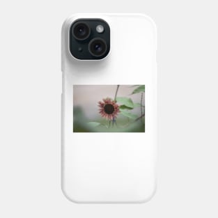 A Cloudy Day Phone Case