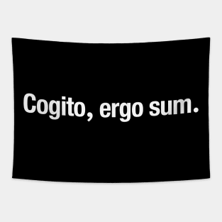 Cogito, ergo sum. Tapestry