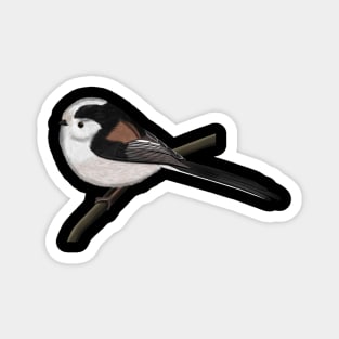 Long Tailed Tit Bird Watching Birding Ornithologist Gift Magnet