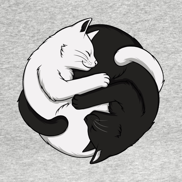 Yin Yang  Cats Cats T Shirt TeePublic