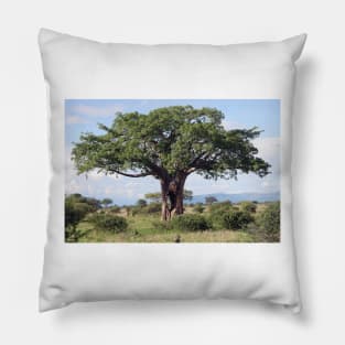 Hole in the Baobab Tree Pillow