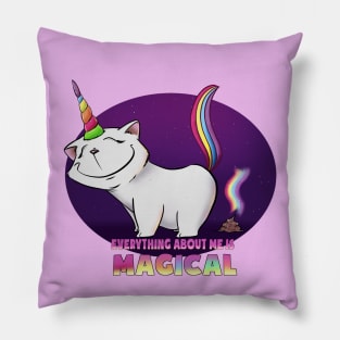 Everything about me is Magical Pillow