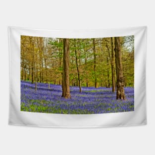 Bluebell Woods Greys Court Oxfordshire UK Tapestry