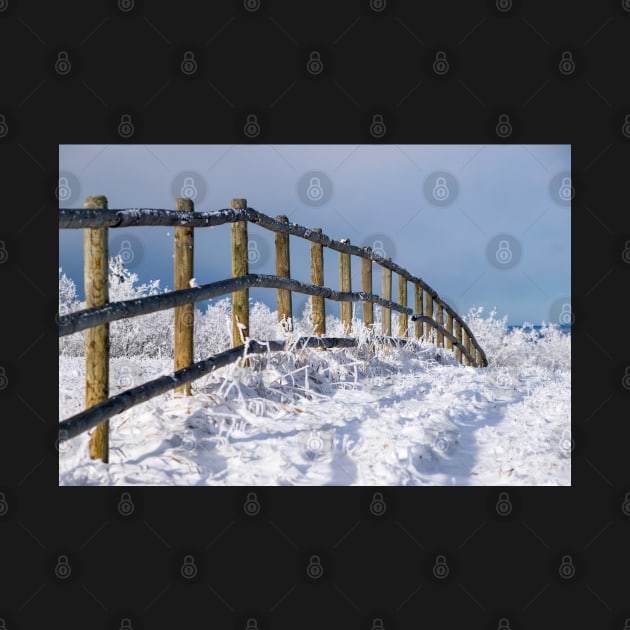 Fence Line in Winter. by CanadianWild418