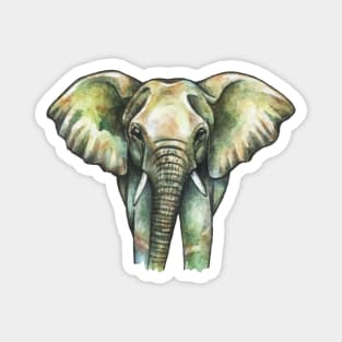 Cute Elephant Magnet