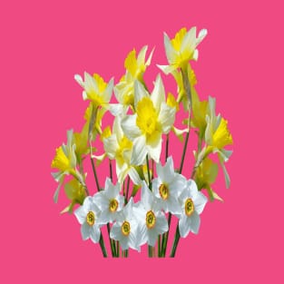 Yellow Daffodils And White Narcissi Isolated T-Shirt