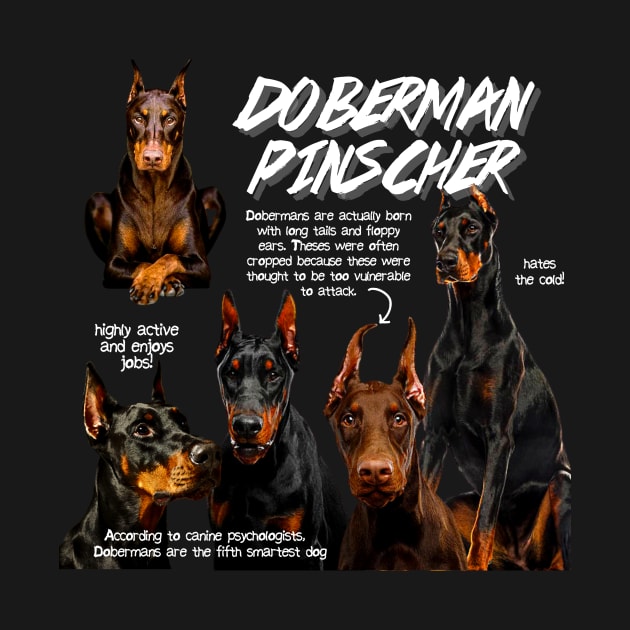 Doberman Pinscher Fun Facts by Animal Facts and Trivias