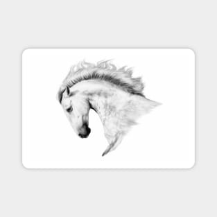 white Lusitano Horse Magnet