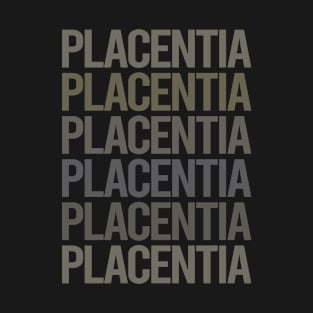 Gray Text Art Placentia T-Shirt