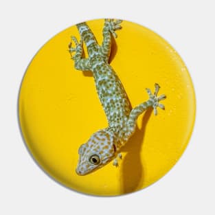 Tokay Gecko Pin